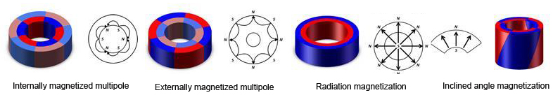 magnetization of a radial ring magnet