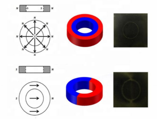 magnetization diagrams of radial NdFeB ring magnets