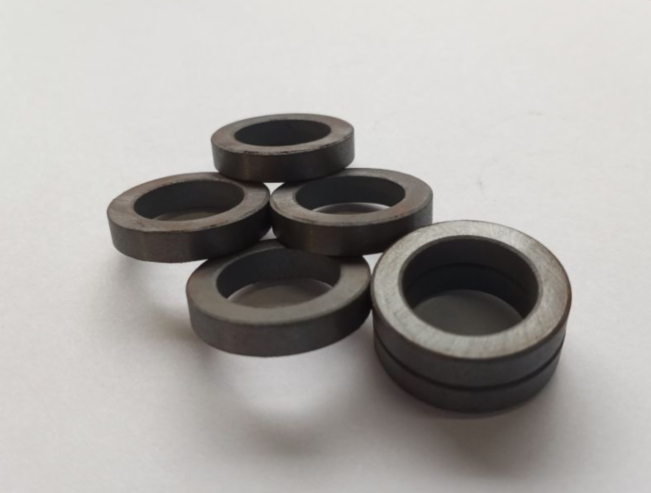 multi-pole magnetized ring ferrite