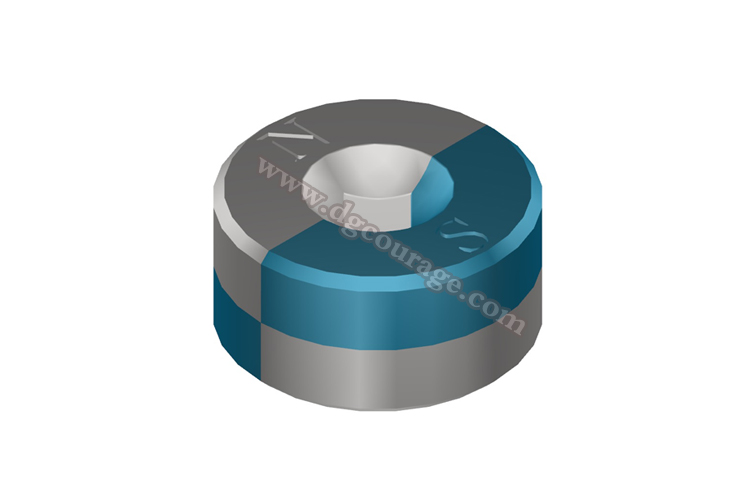 Schematic diagram of magnetization of axial 2-pole magnetic ring