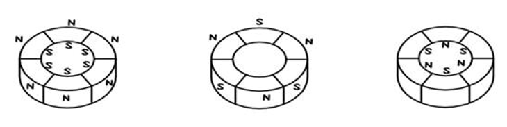 Schematic diagram of radial magnetization of ring magnet