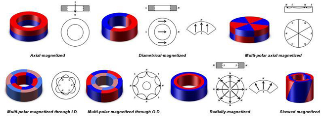 16 pole radial ring magnet with polishing 16 x 10 x 9mm - Multipole Magnets  - Courage magnet supplier