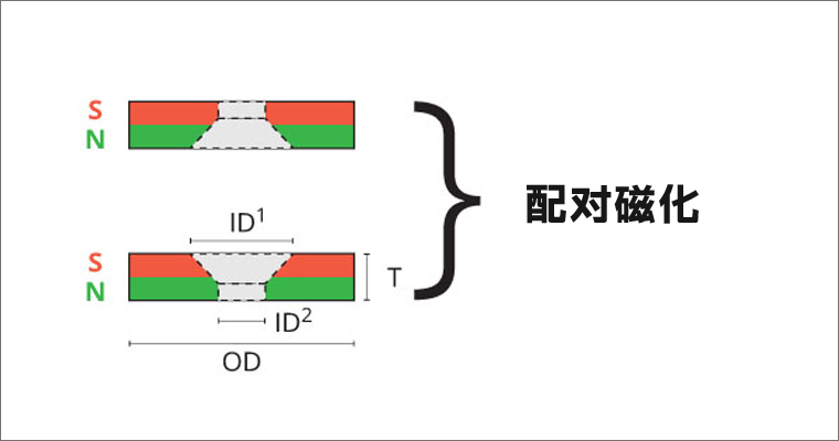 Schematic diagram of the magnetization direction of a typical countersunk magnet ring;