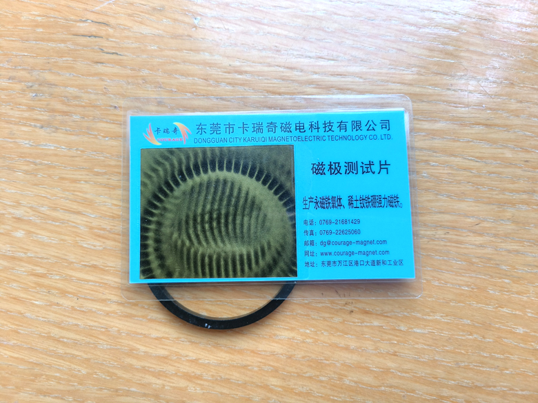 Multipole magnet ring