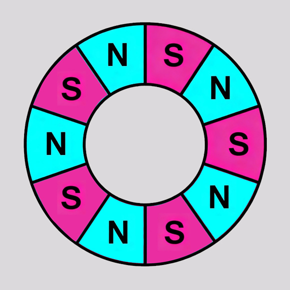 Magnetic Pole Distribution of a 10-Pole Ring Magnet